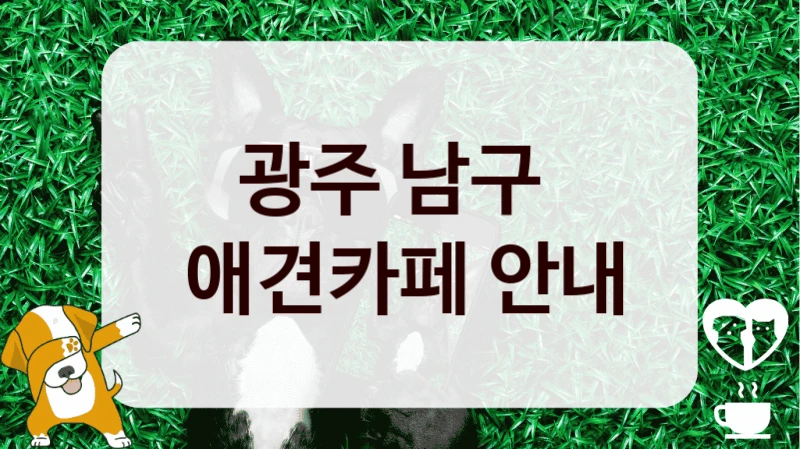 광주 남구 
 애견카페 안내