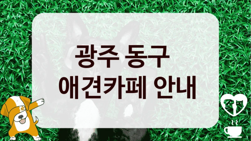 광주 동구 
 애견카페 안내