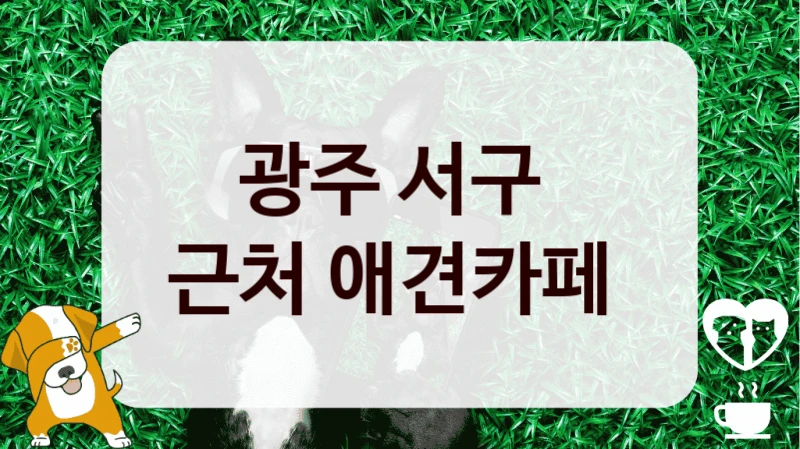 광주 서구 
근처 애견카페 