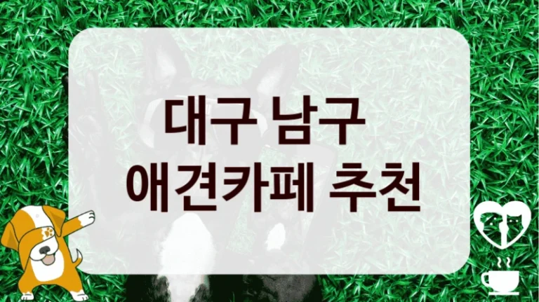 대구 남구 
 애견카페 추천