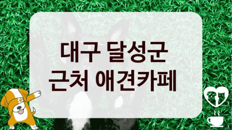 대구 달성군 
근처 애견카페