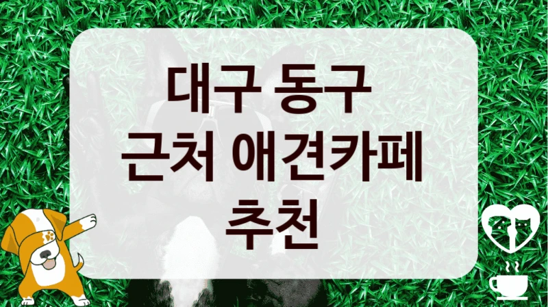 대구 동구 
근처 애견카페 추천