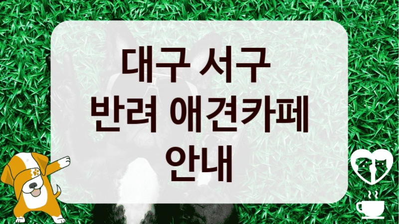 대구 서구 
반려 애견카페 안내