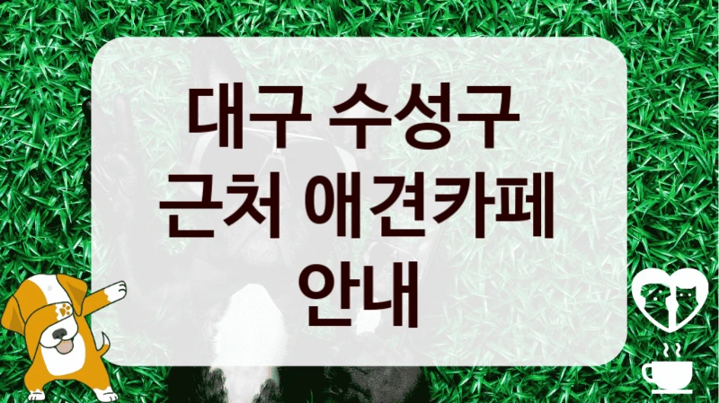 대구 수성구 
근처 애견카페 안내