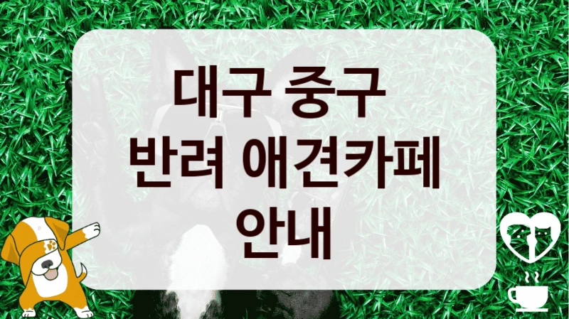 대구 중구 
반려 애견카페 안내