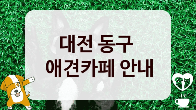 대전 동구 
 애견카페 안내