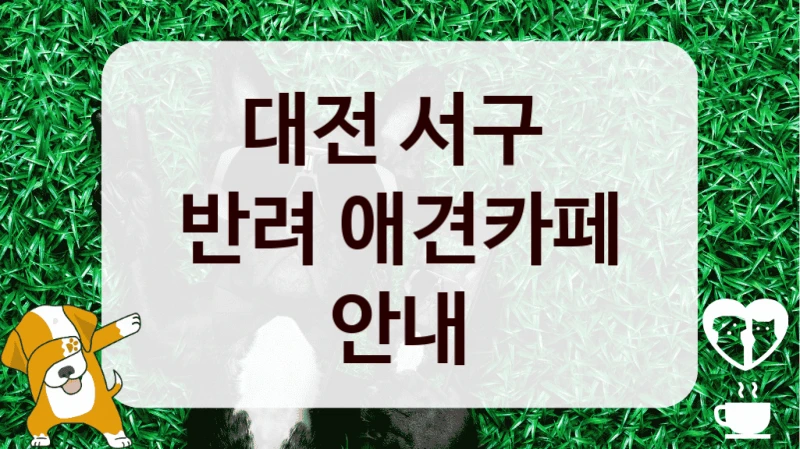 대전 서구 
반려 애견카페 안내