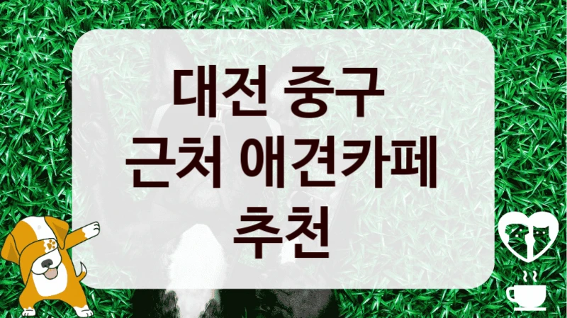 대전 중구 
근처 애견카페 추천