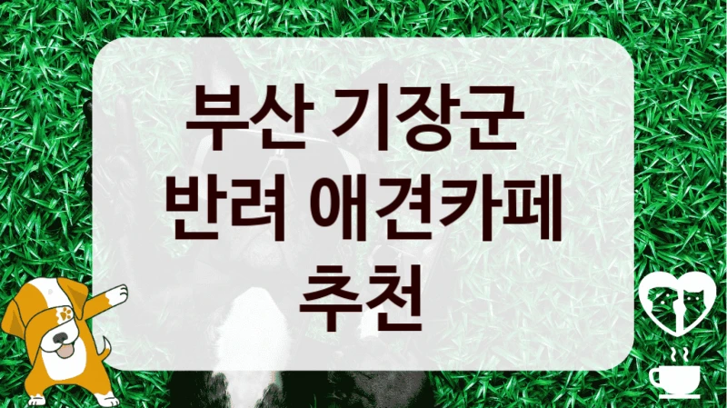 부산 기장군 
반려 애견카페 추천