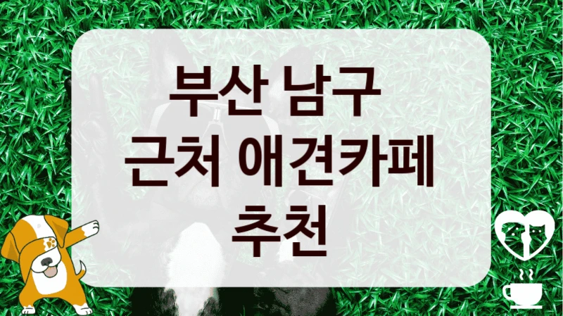 부산 남구 
근처 애견카페 추천