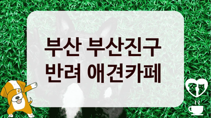 부산 부산진구 
반려 애견카페 