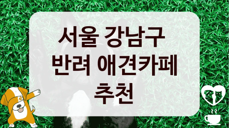 서울 강남구 
반려 애견카페 추천