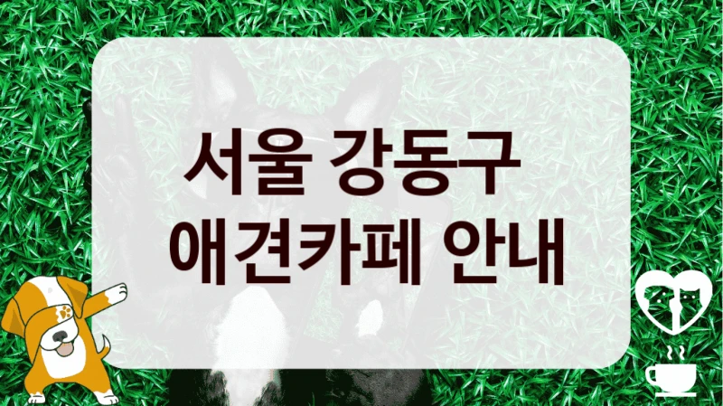 서울 강동구 
 애견카페 안내