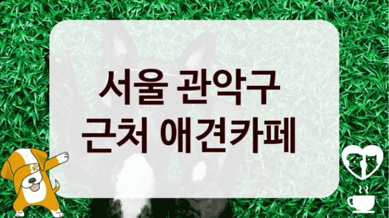 서울 관악구 
근처 애견카페