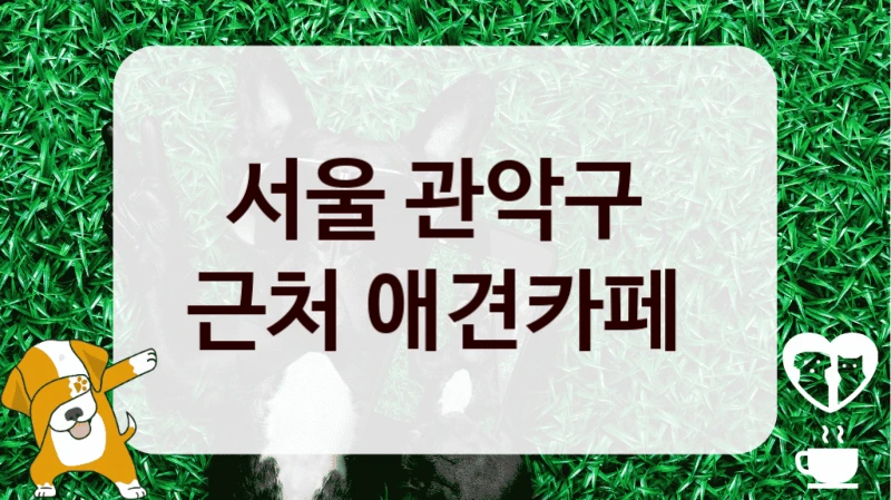서울 관악구 
근처 애견카페 