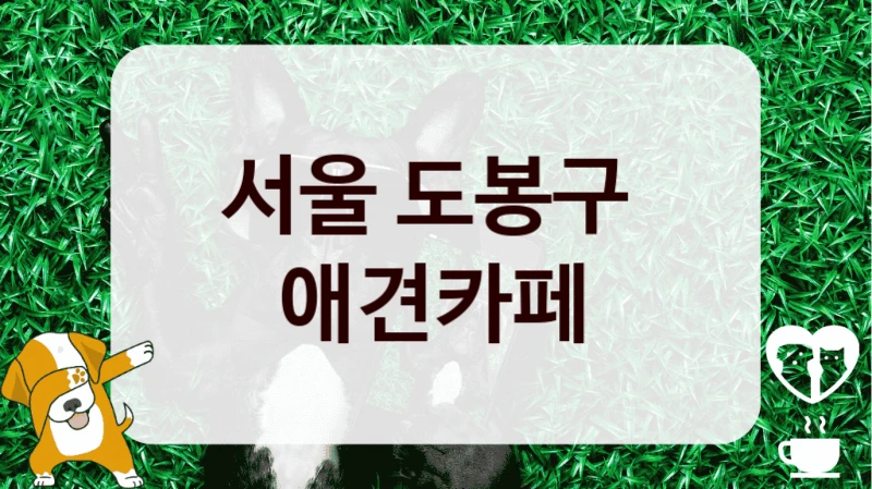 서울 도봉구 
 애견카페 