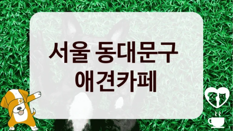 서울 동대문구 
 애견카페