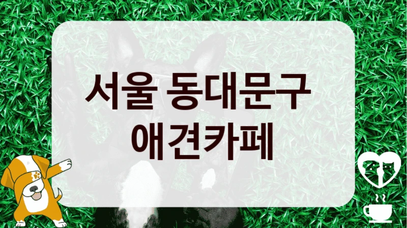 서울 동대문구 
 애견카페 