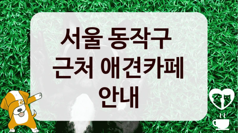 서울 동작구 
근처 애견카페 안내