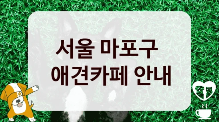 서울 마포구 
 애견카페 안내