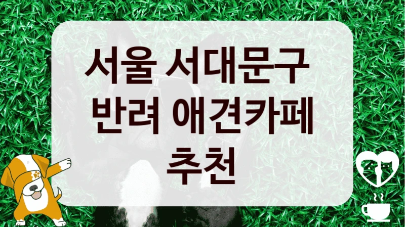 서울 서대문구 
반려 애견카페 추천