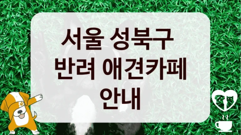 서울 성북구 
반려 애견카페 안내