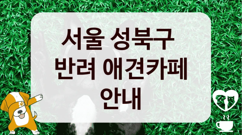 서울 성북구 
반려 애견카페 안내
