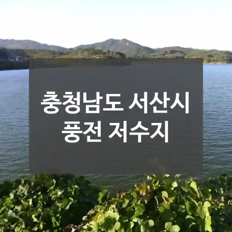 충청남도 서산시
풍전 저수지