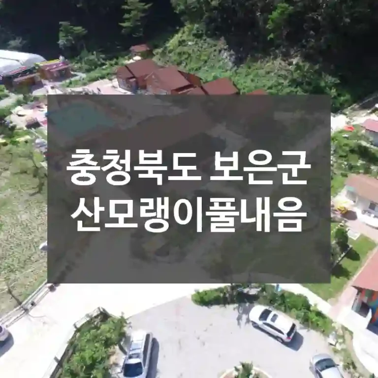충청북도 보은군
산모랭이풀내음