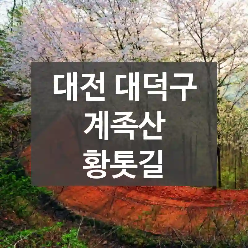 대전 대덕구
계족산 황톳길