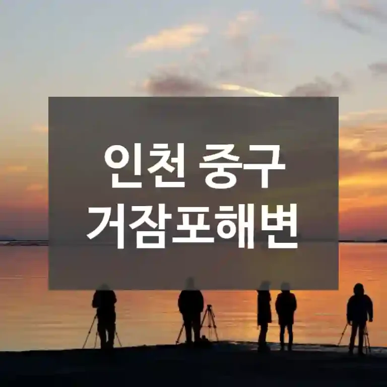 인천 중구
거잠포해변