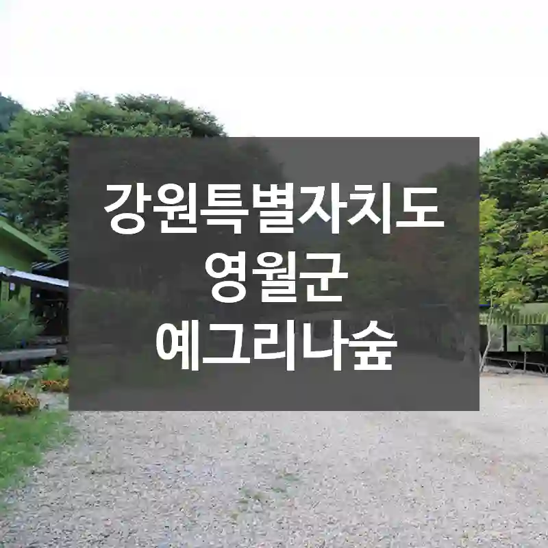 강원특별자치도 영월군
예그리나숲