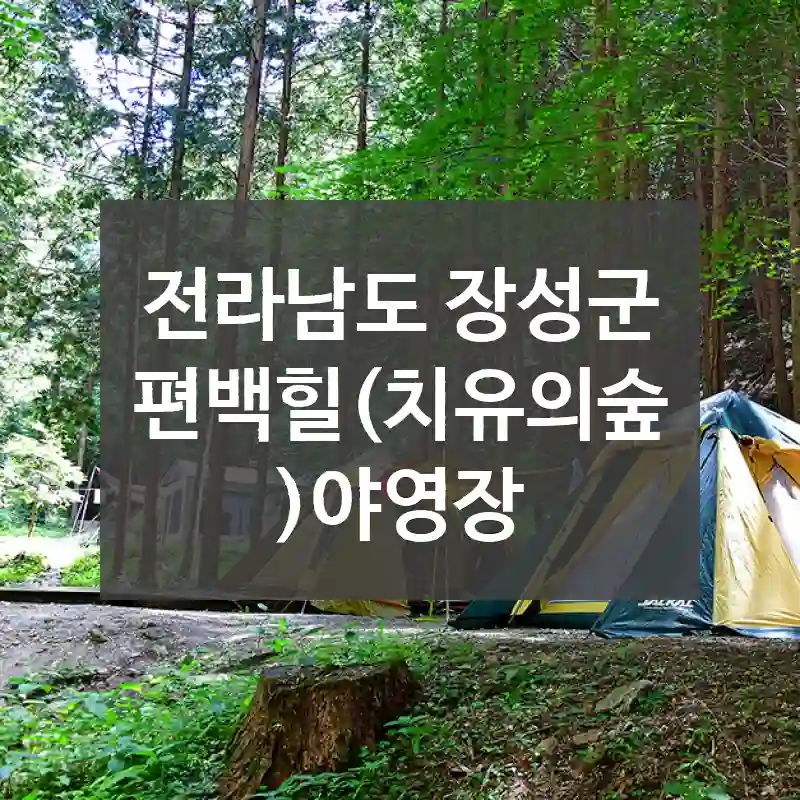 전라남도 장성군
편백힐(치유의숲)야영장