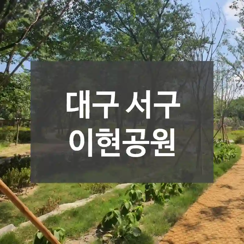 대구 서구
이현공원