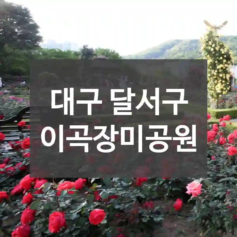 대구 달서구
이곡장미공원