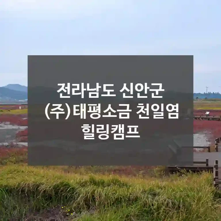 전라남도 신안군
(주)태평소금 천일염 힐링캠프