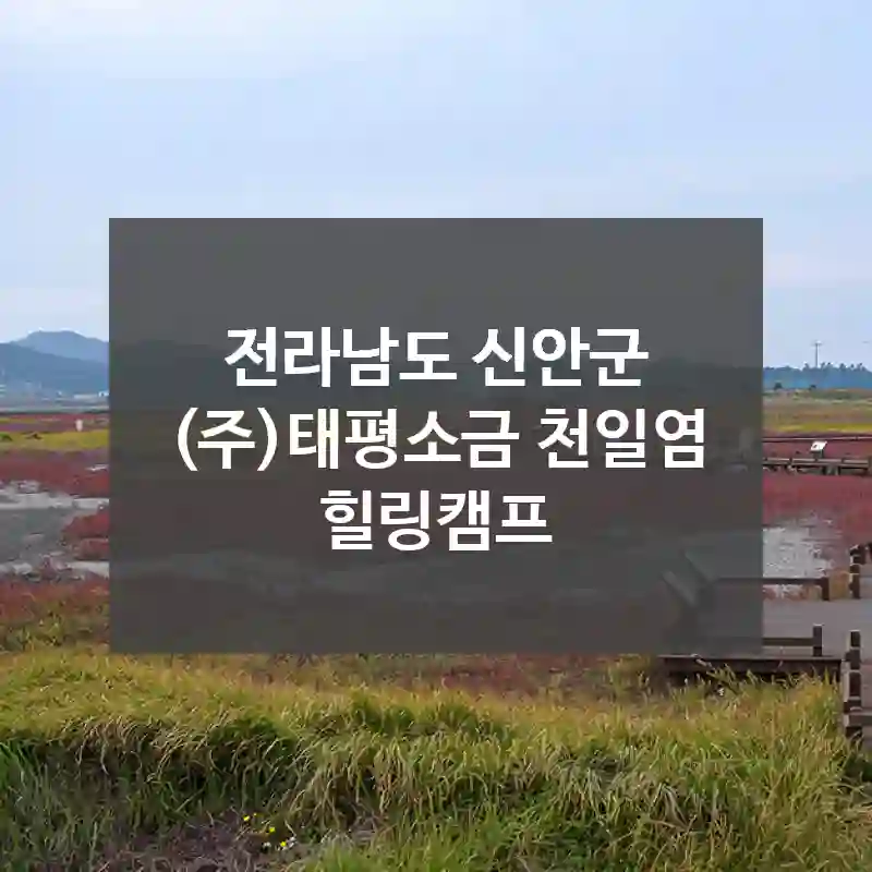 전라남도 신안군
(주)태평소금 천일염 힐링캠프