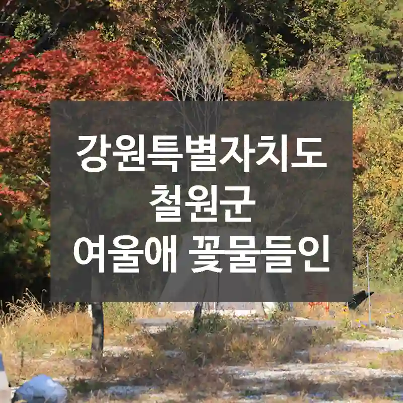 강원특별자치도 철원군
여울애 꽃물들인