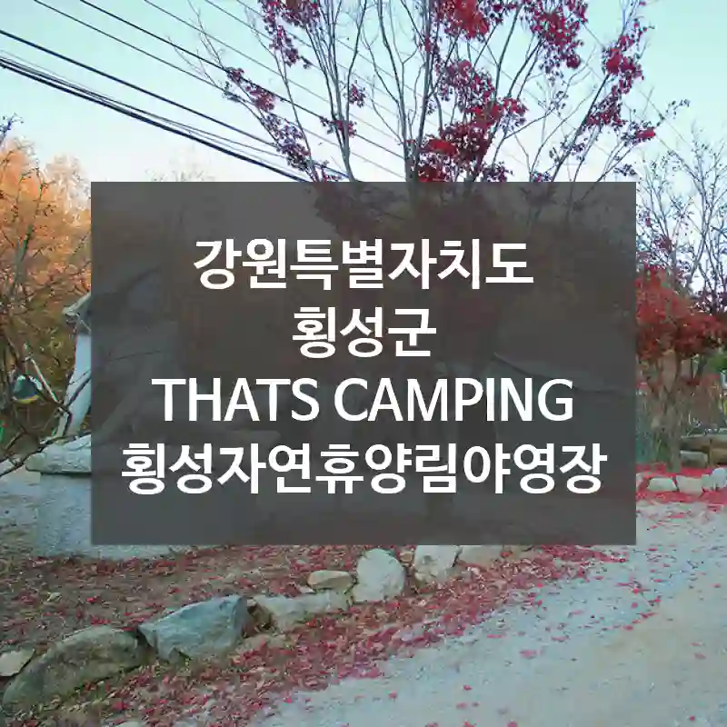 강원특별자치도 횡성군
THATS CAMPING 횡성자연휴양림야영장