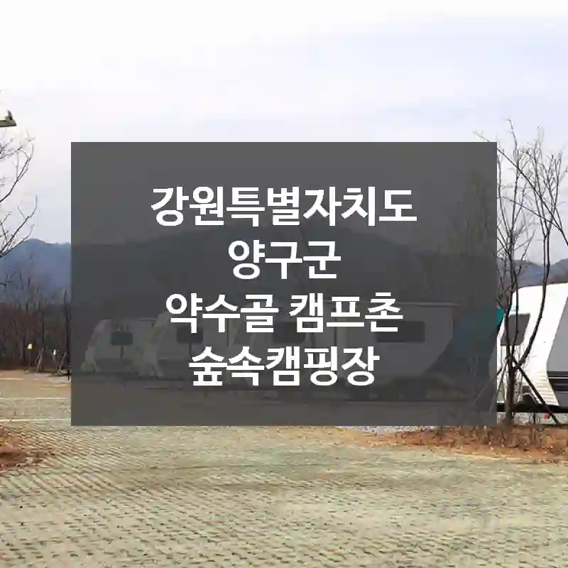 강원특별자치도 양구군
약수골 캠프촌 숲속캠핑장