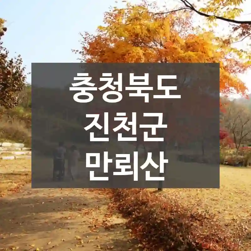 충청북도 진천군
만뢰산