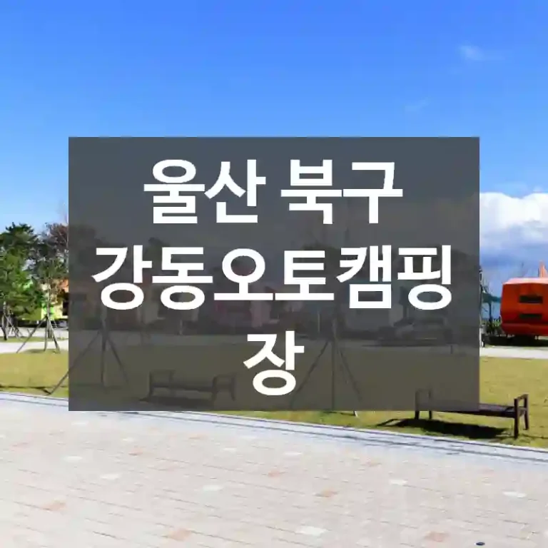 울산 북구
강동오토캠핑장