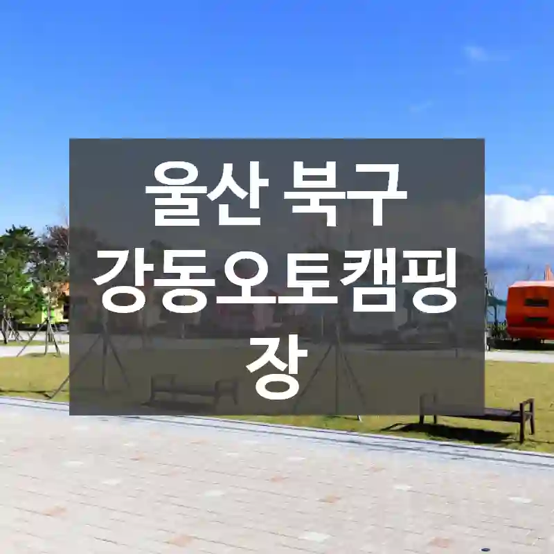 울산 북구
강동오토캠핑장