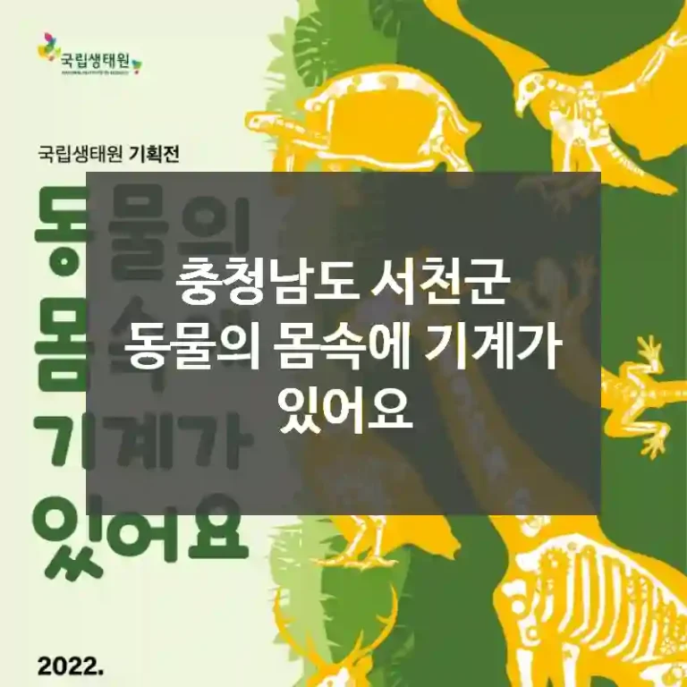 충청남도 서천군
동물의 몸속에 기계가 있어요