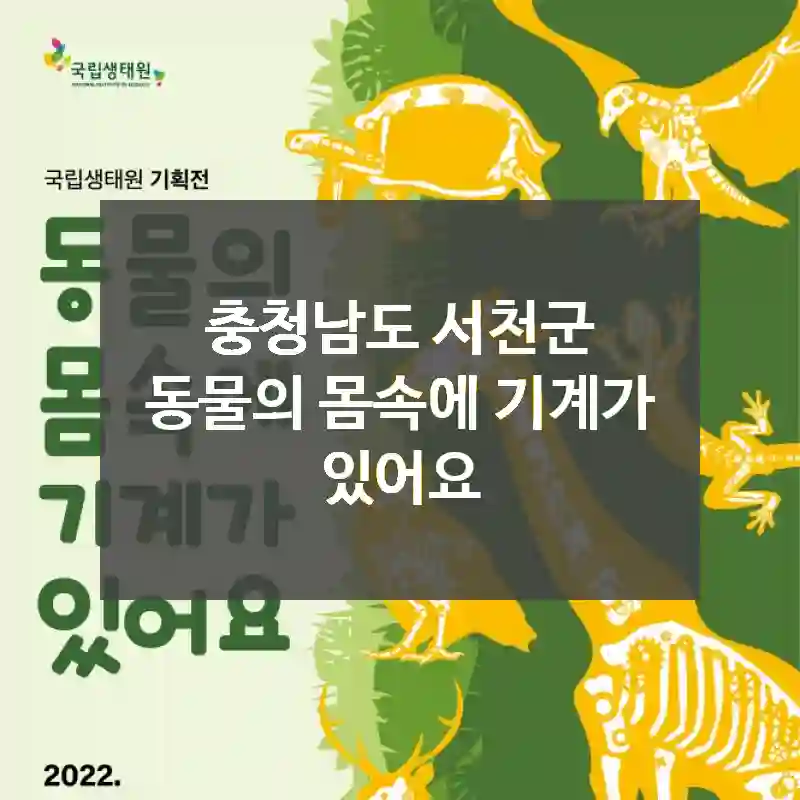 충청남도 서천군
동물의 몸속에 기계가 있어요