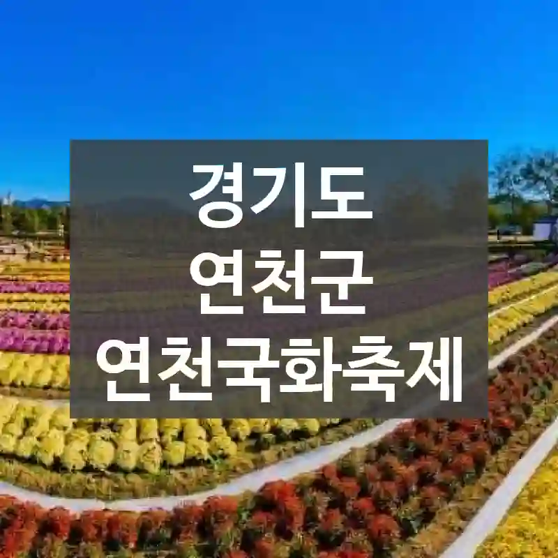 경기도 연천군
연천국화축제