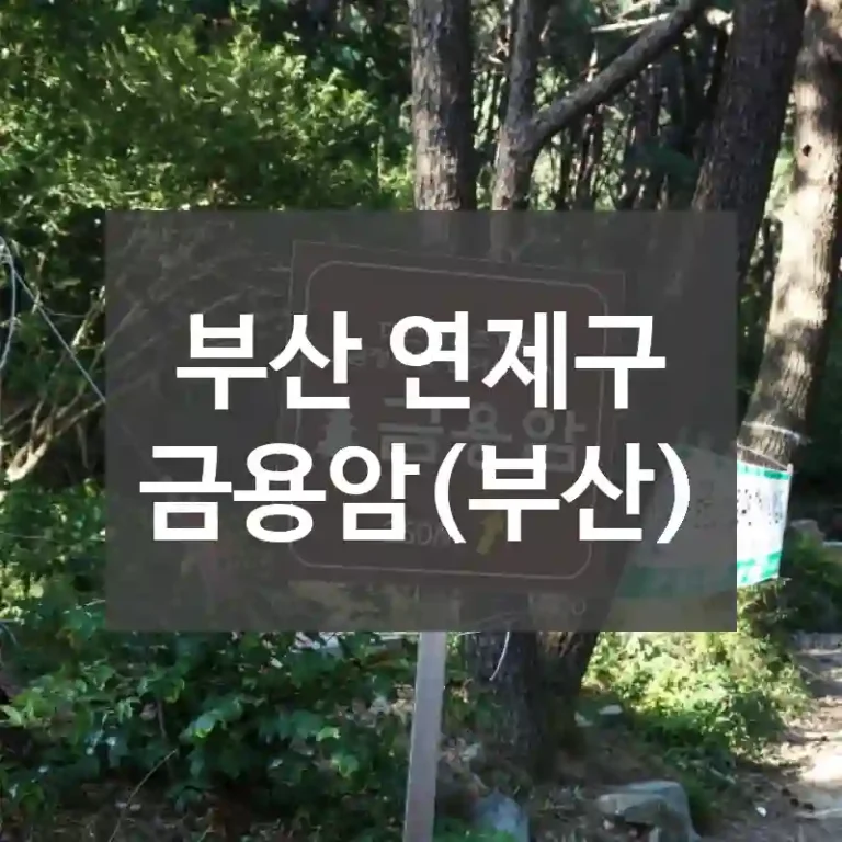 부산 연제구
금용암(부산)