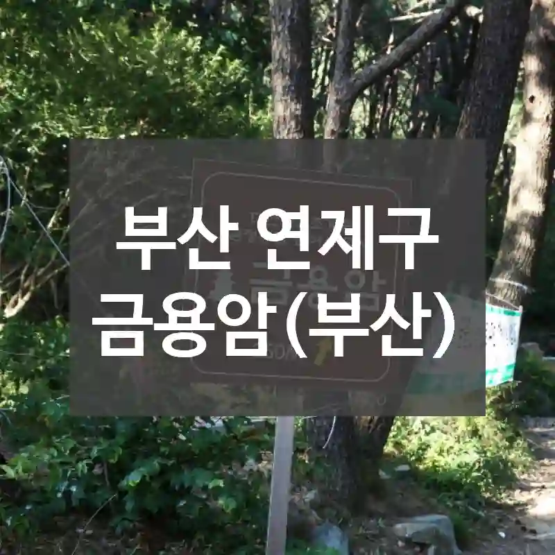 부산 연제구
금용암(부산)