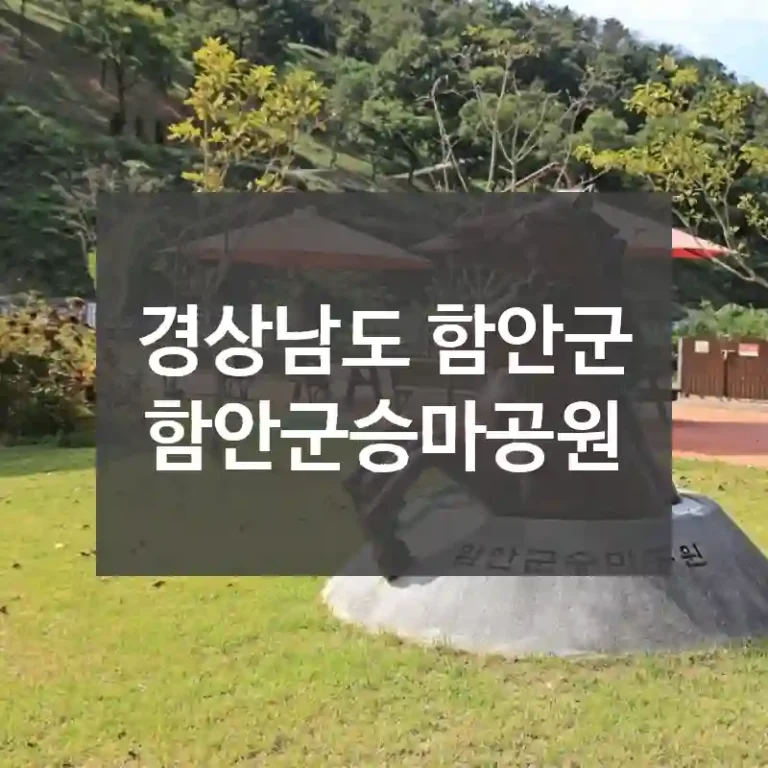 경상남도 함안군
함안군승마공원