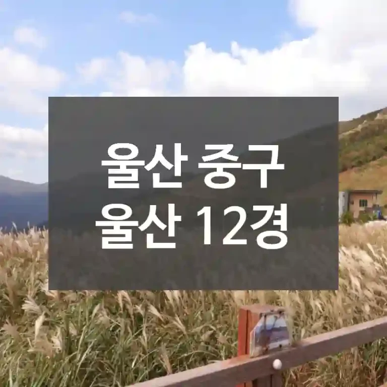 울산 중구
울산 12경